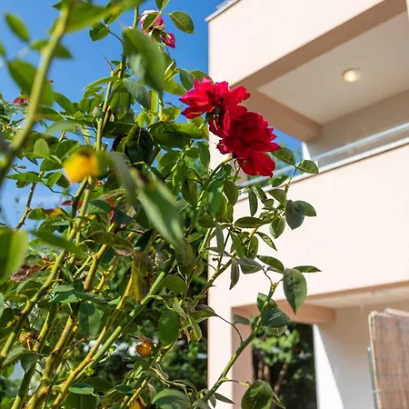 In 12394 Apartment Baska (Krk)